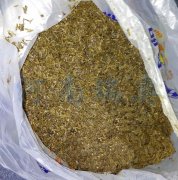 2021年適合投資酒糟烘干機嗎？